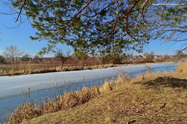 12418907_576248692544153_1834016237571911676_o