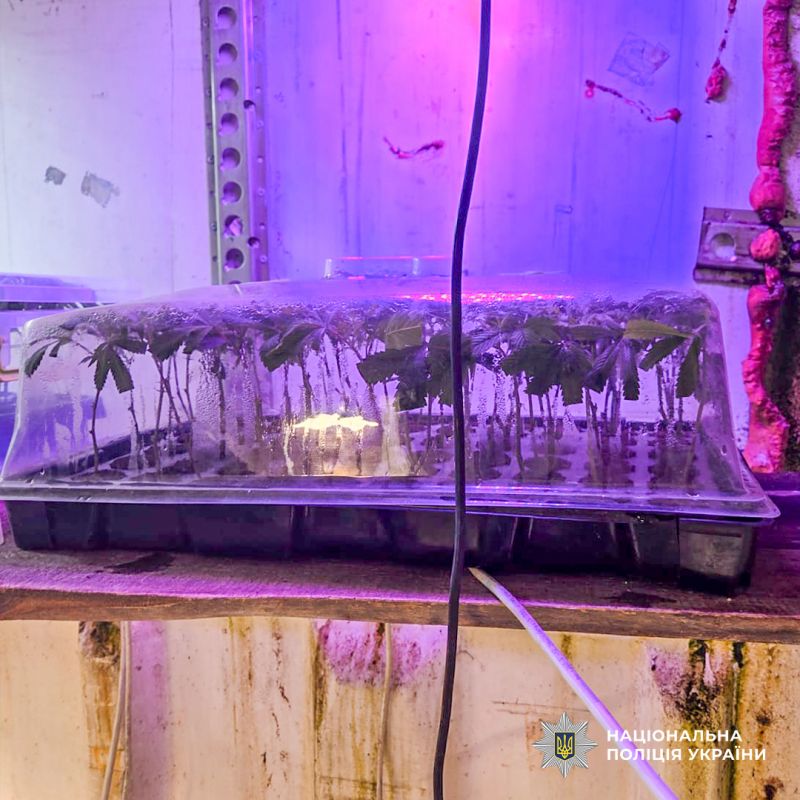 DVB_Cherkasi-narkotiki_7_18.02.2026