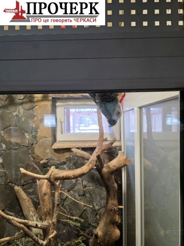 627255670_1331038528695446_7799619935389127198_n