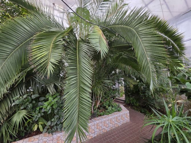 photo_2026-02-17_15-27-14