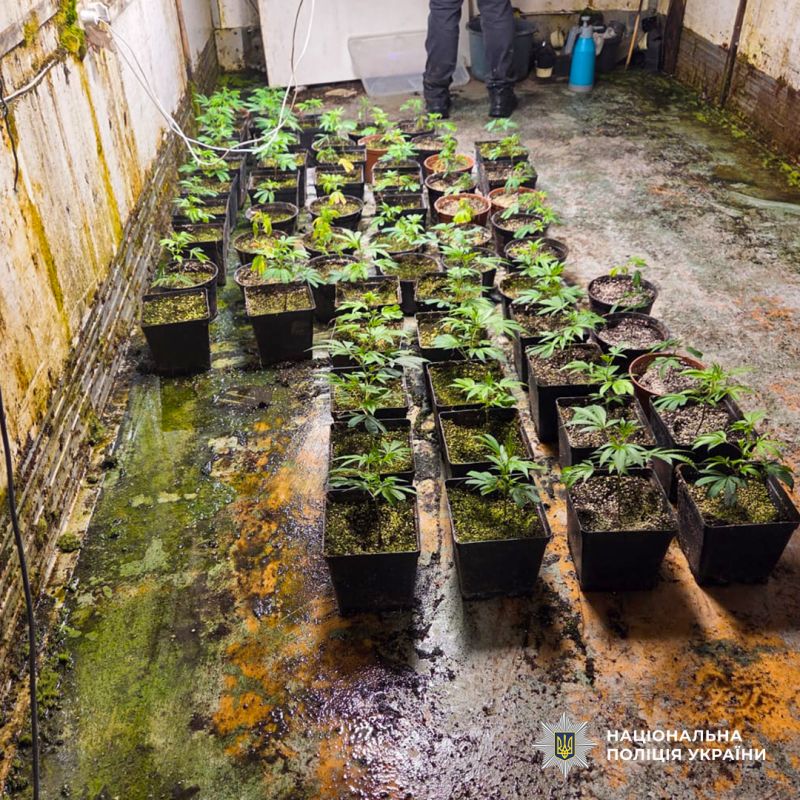 DVB_Cherkasi-narkotiki_13_18.02.2026