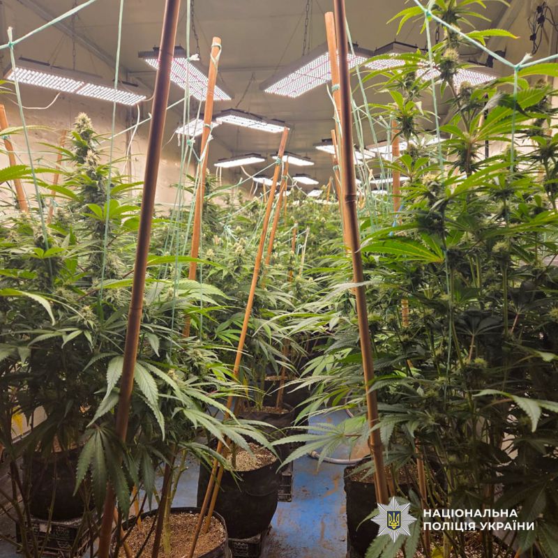 636914790_1388035870034364_513143726349005820_n