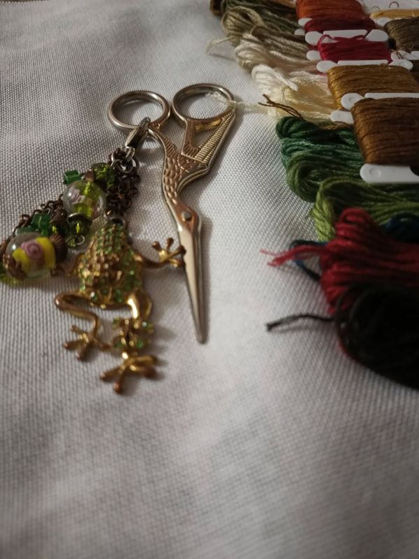 540418994_18377866450178721_2659185267212921945_n