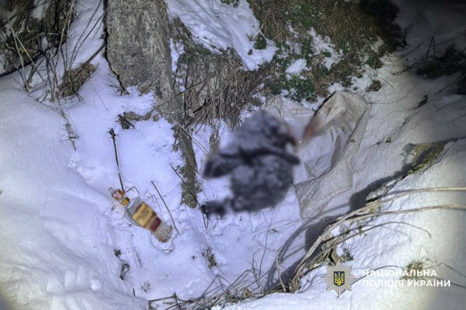 photo_2026-02-28_15-23-27