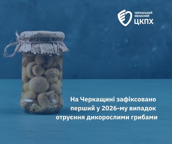 633867975_877142798462632_1918851029046076036_n