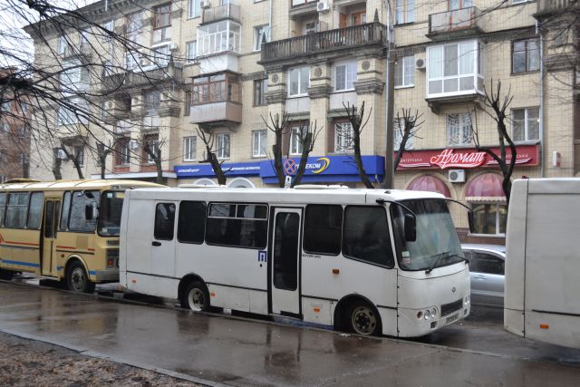 А під вікнами обласної влади спокійно стояли автобуси з «беркутівцями»…