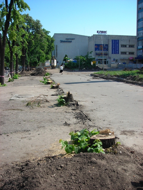 Колись дерев на Європейській площі було більше...