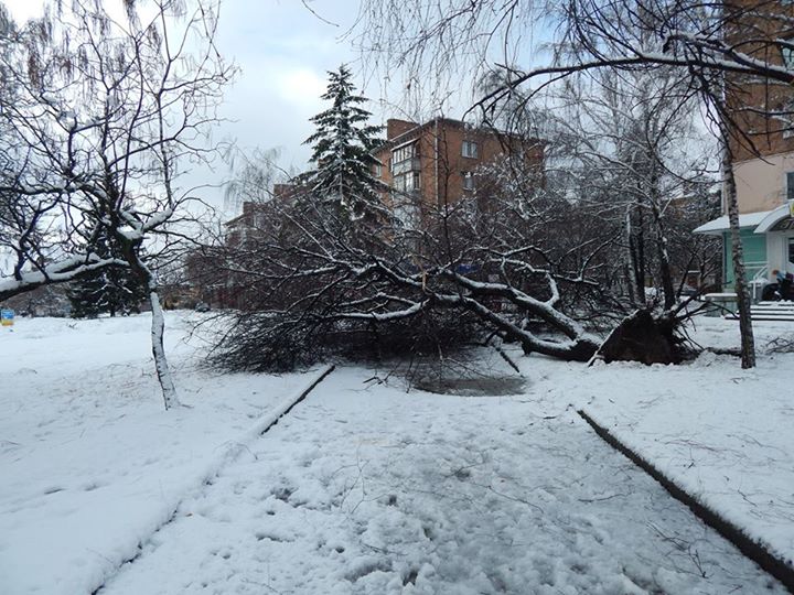 Фото – з офіційної сторінки виконкому Уманської міськради в соціальній мережі «Фейсбук»