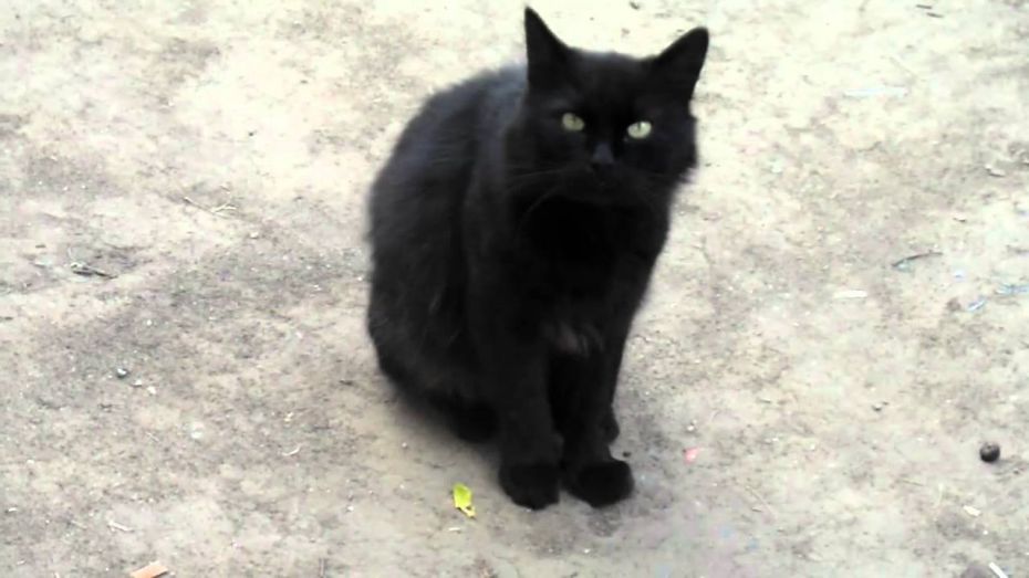 17621962_841038142701071_5867550296698323526_o