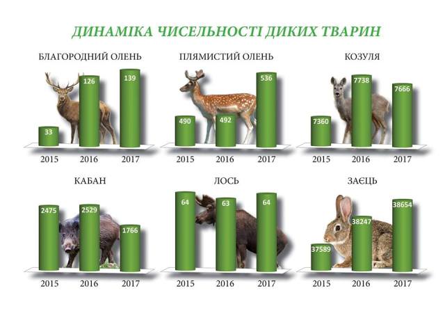 17354707_1221351364648224_1389058855_n