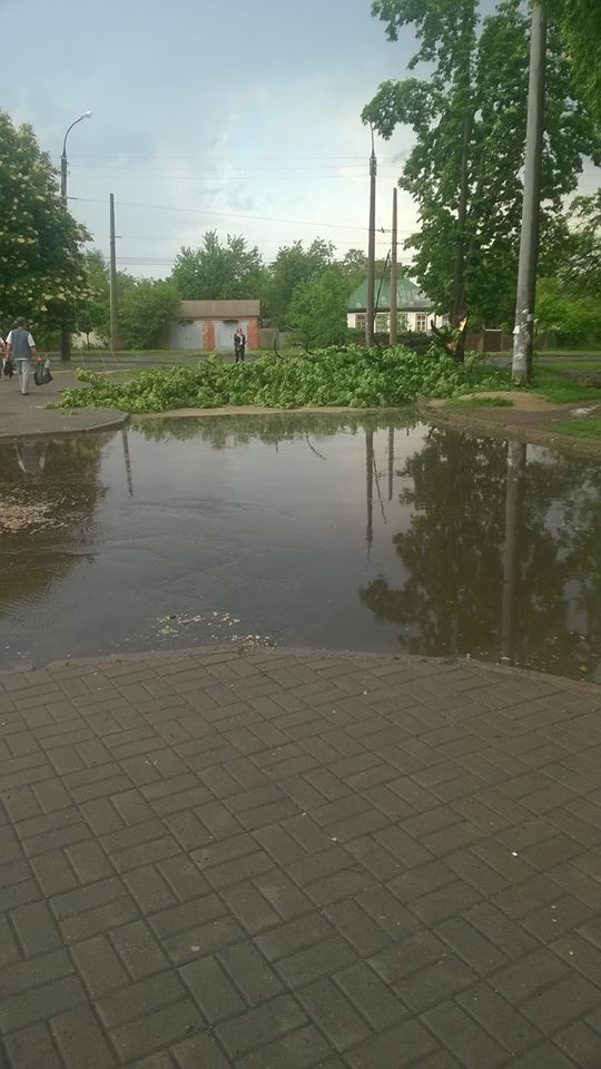 31946911_451488181956380_4228041350362169344_n