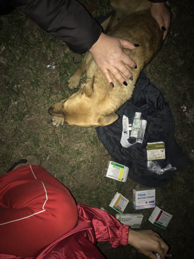 30705849_911616182344814_4186652060495642624_n