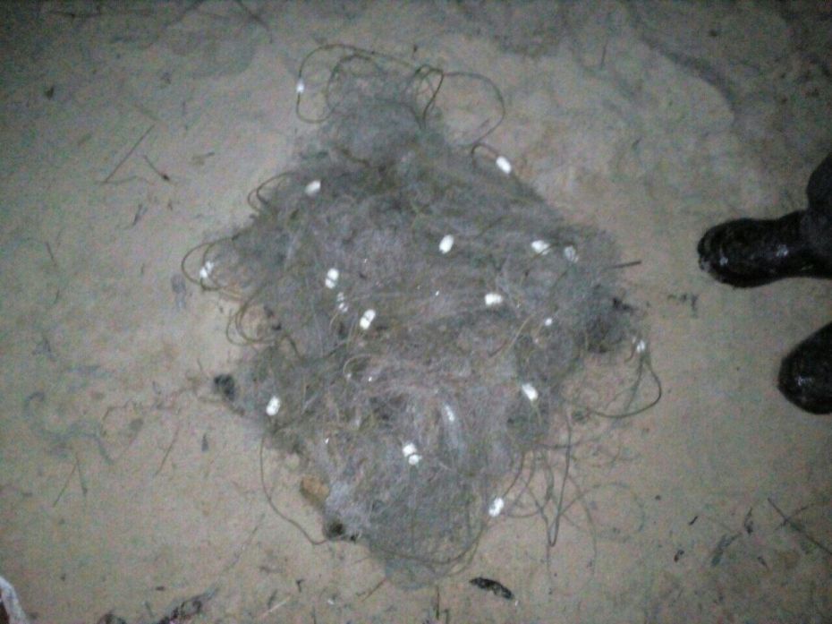 photo_2019-03-14_12-08-36