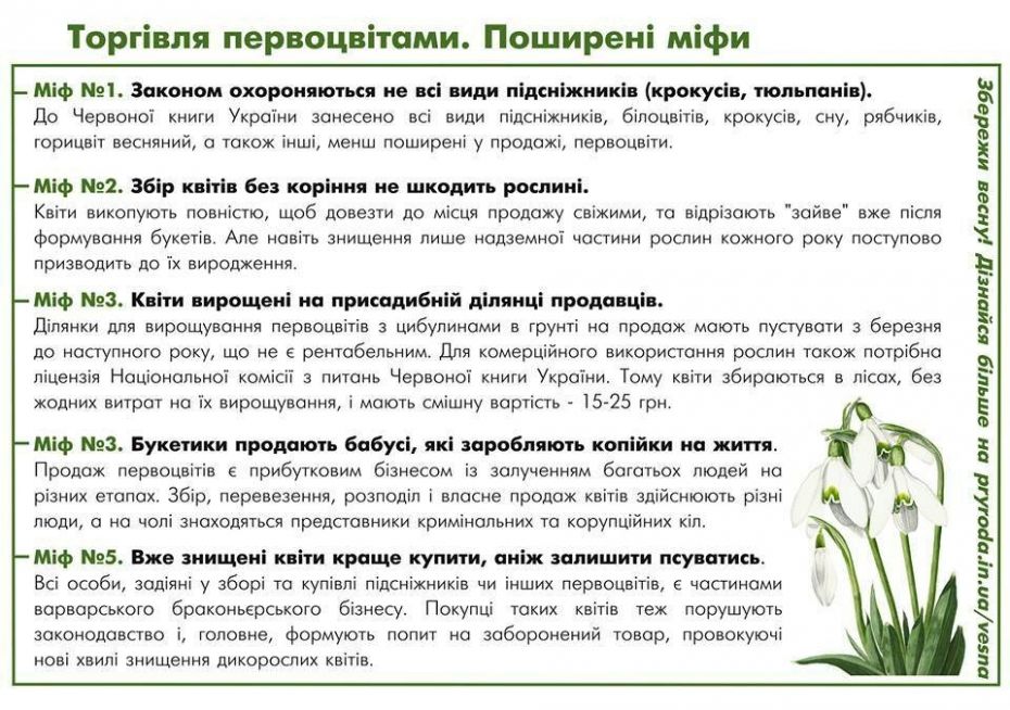 1551862481_29214677_1921444991221377_2793384482357379072_n