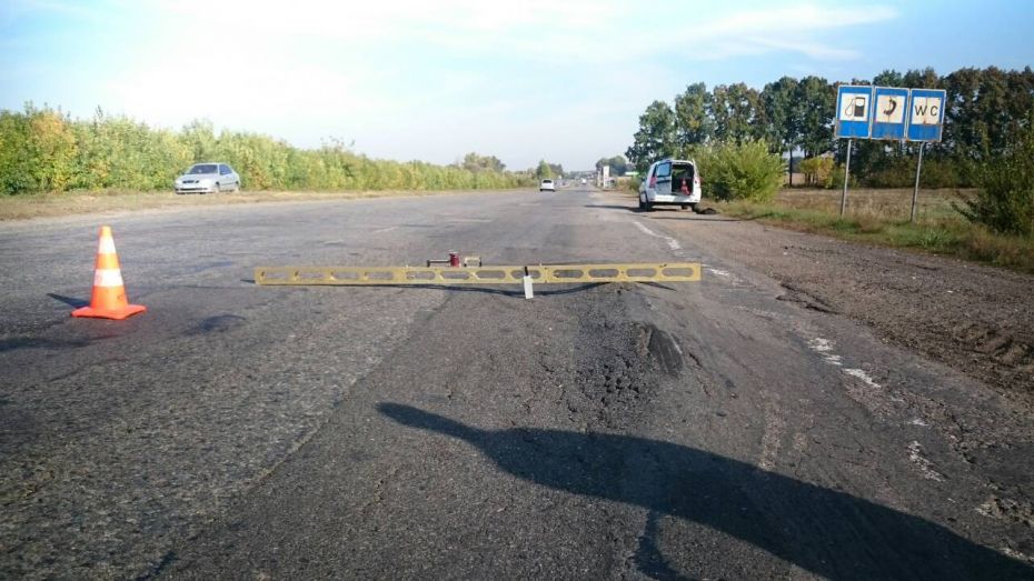 55614051_362893537646721_3484487390783864832_o