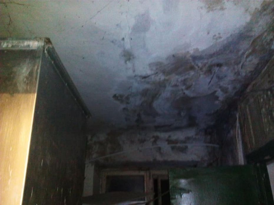 53662801_338045790388198_4100964877370130432_n