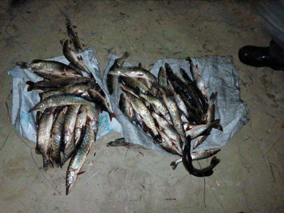 photo_2019-03-14_12-08-25