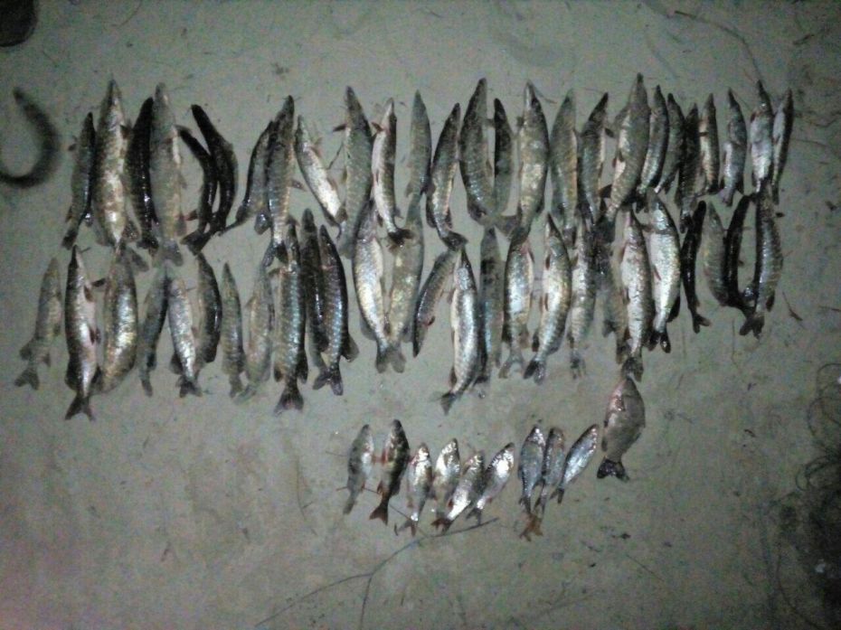 photo_2019-03-14_12-08-40