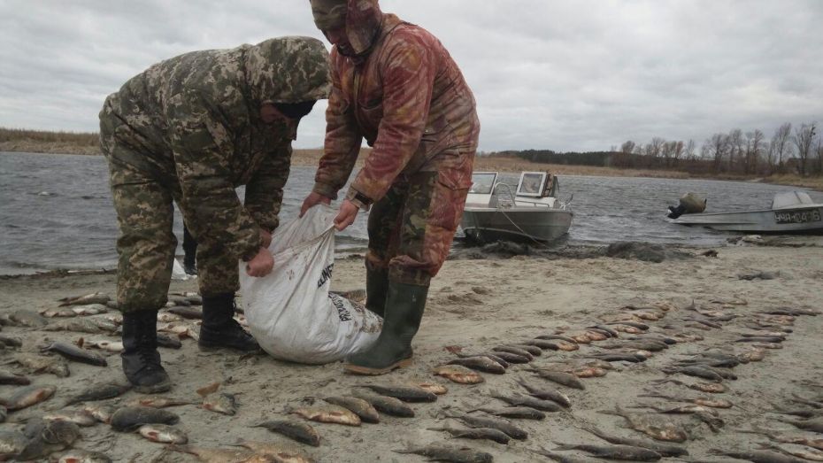 photo_2019-03-14_10-33-51