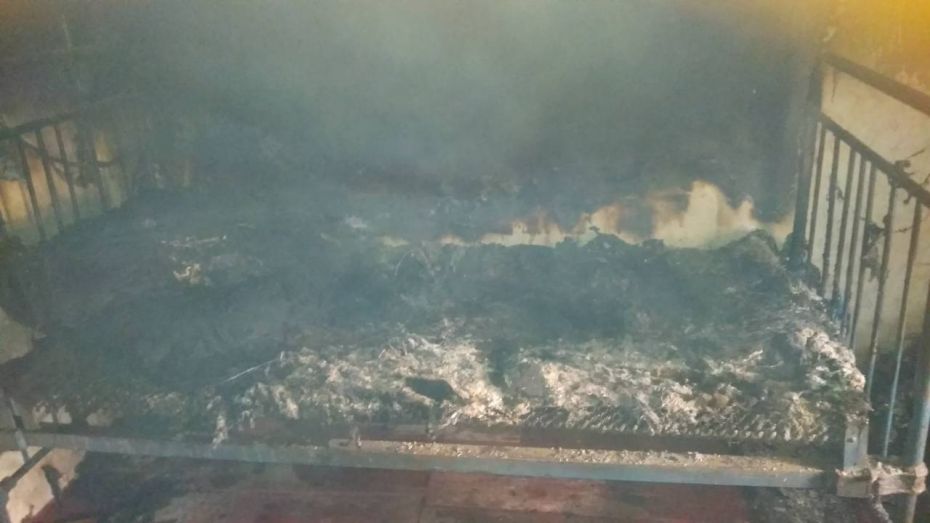 0-02-05-bc948074dee0915c6ae49ca197e8d9b9894a0e6d121fc1faadbe11a6f8bfe725_264cc6b7