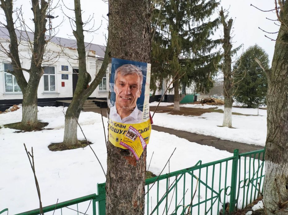 26-03-19_Kamianka_lystivky