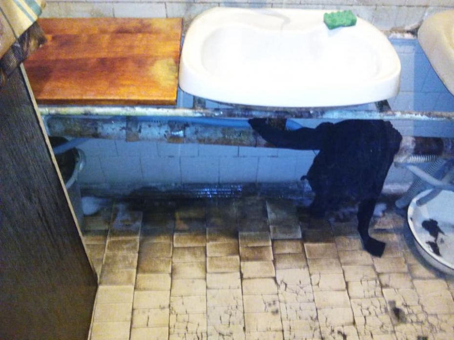 54364847_338045983721512_8162568926388027392_n