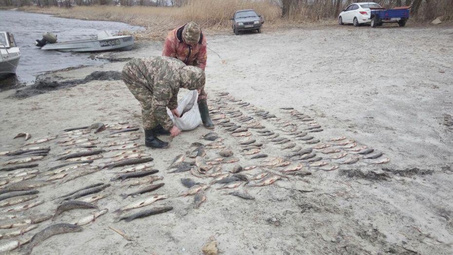 photo_2019-03-14_10-34-29