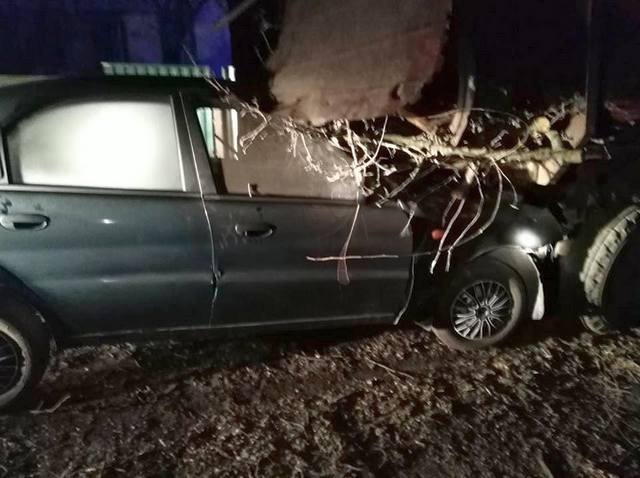 56387500_801057226930791_8021685971785351168_n