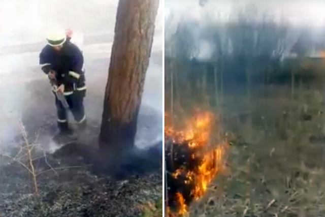 Безымянный