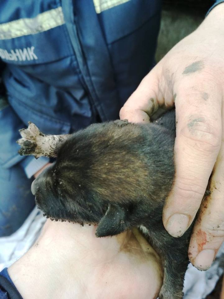 53093809_2125248717511758_4966312543116066816_n