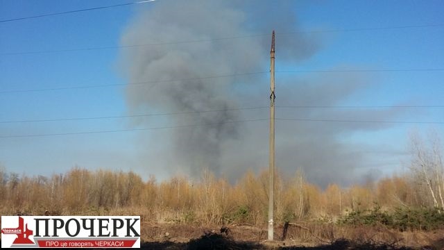 56262591_497287634136408_1574241883490615296_n