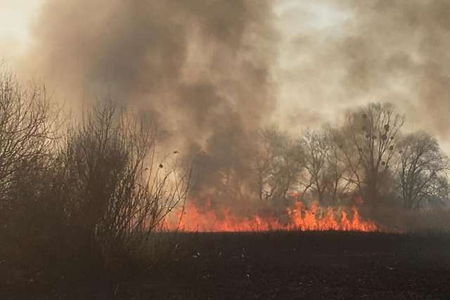 55829725_1001307906731757_6103749268986658816_n