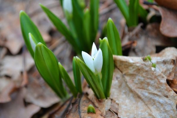 1551862422_1515683058_2