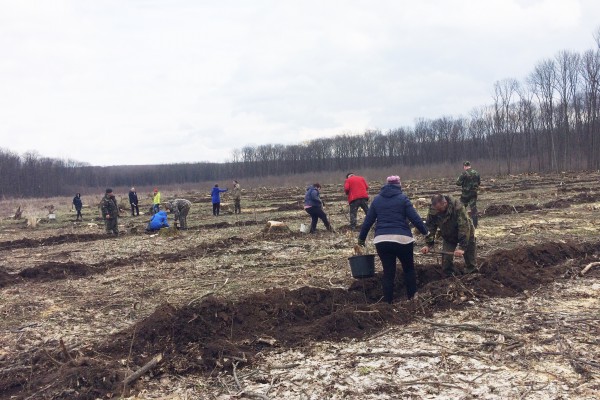 IMG_0143-e1553758478403