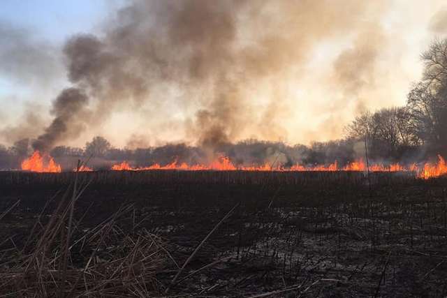 56120210_1001307723398442_5260444212922417152_n