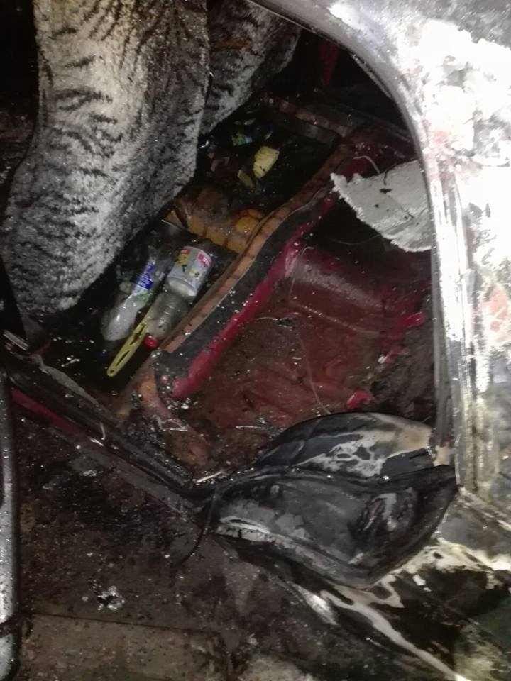 54514235_1298181780320036_394851169748385792_n