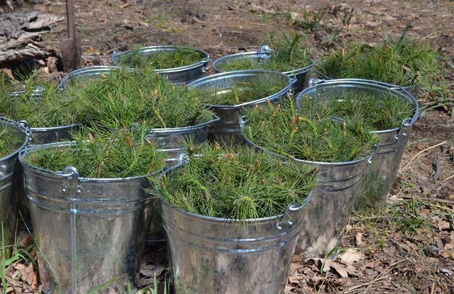 89166904_2920376128000864_1197282344906522624_o