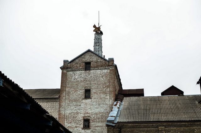 DSC_5119-970x642