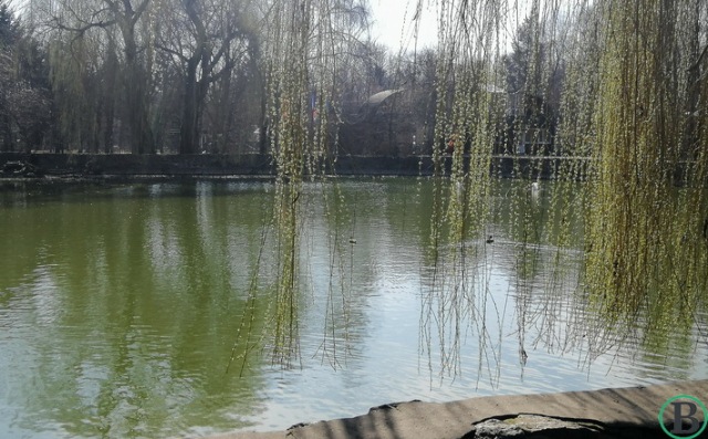 zoopark-12