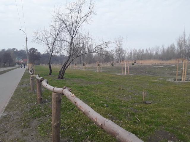 89712848_1456078931220660_8604402249466118144_n