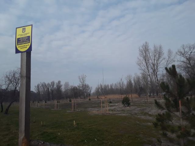 89549170_1456078791220674_1342262805683765248_n