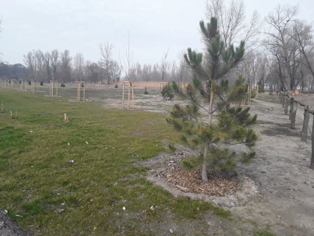 89762934_1456078524554034_9010206303078842368_n