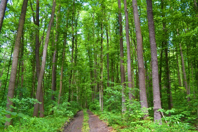 DSC_3518