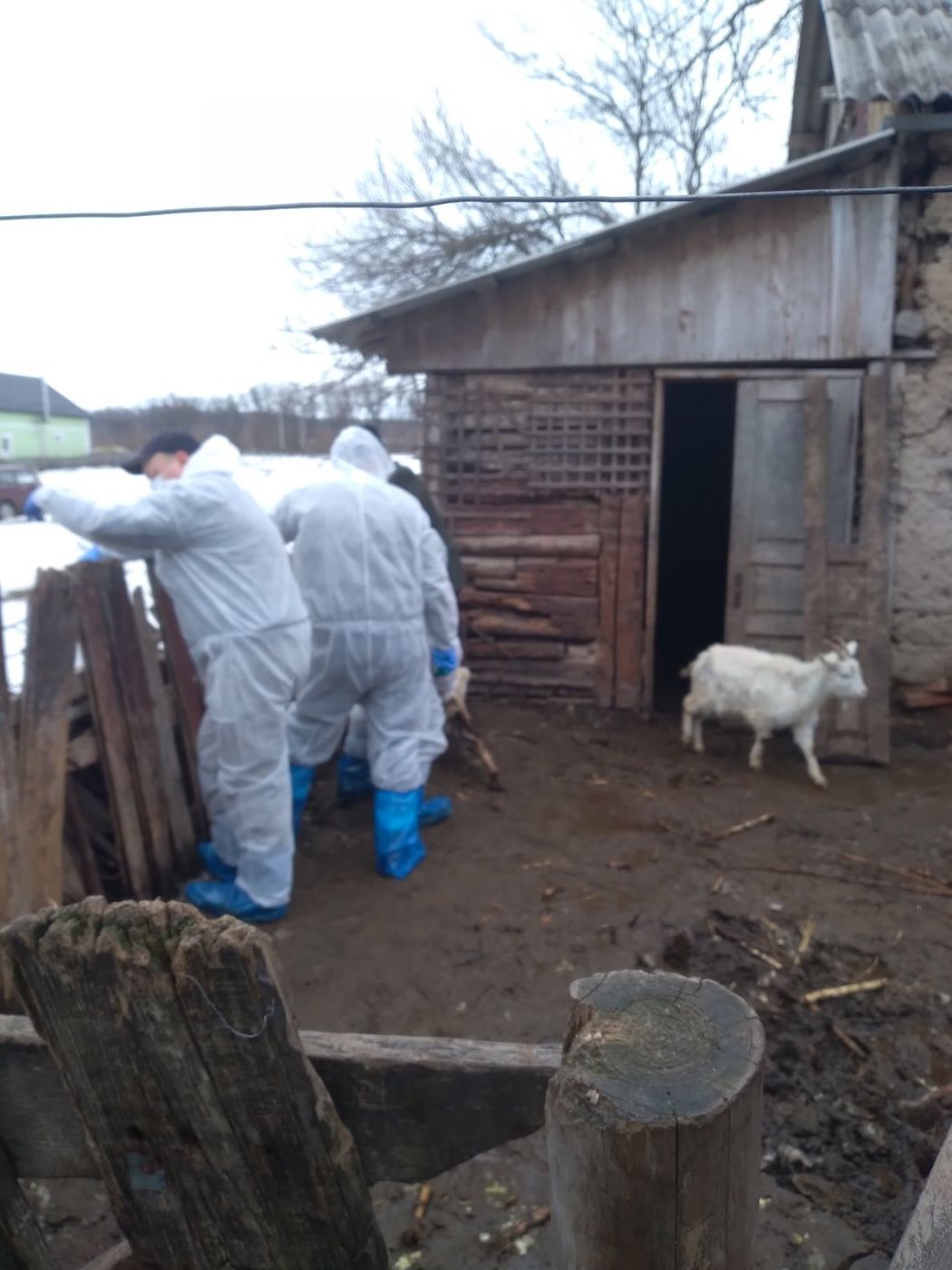 156436515_786185108655657_1069056206724709736_o