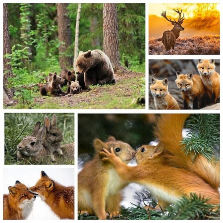 изображение_2021-03-30_093538-e1617086173790