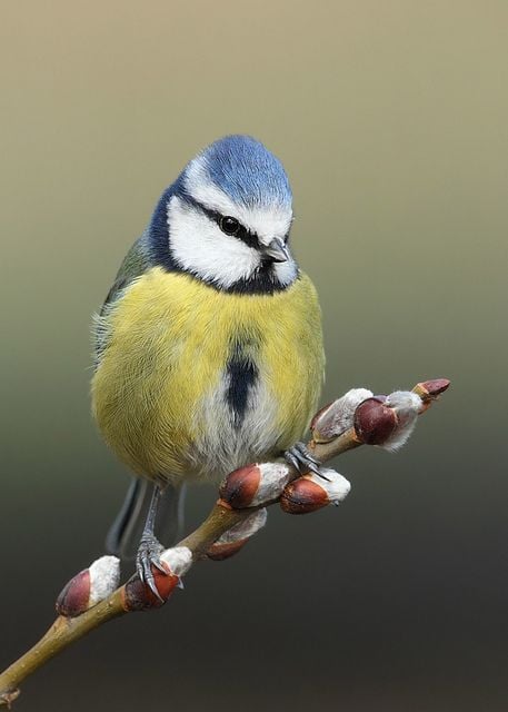 156265720_2809998345980738_8698979295600409201_n