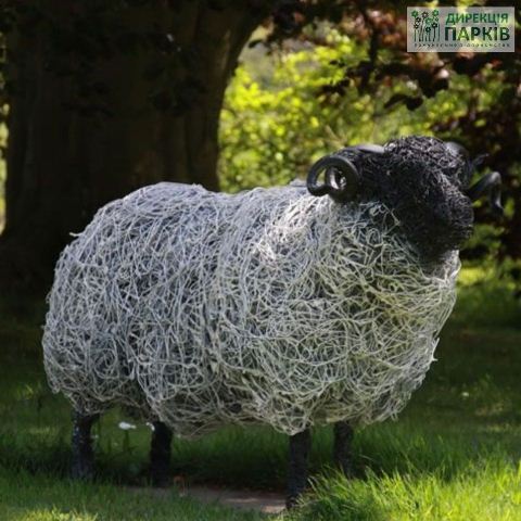 155869288_3632103716836754_5712251299795270032_o