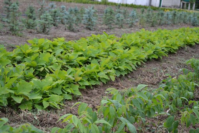 156222971_265067498395528_3534557345690180165_n-2048x1365