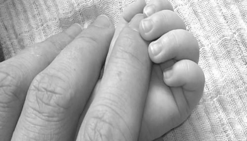 1509262368_patsukap-e1509116683830