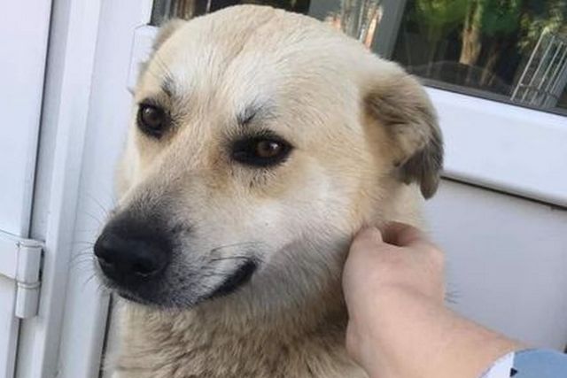 164340899_1086991835119682_5006036162719587906_o